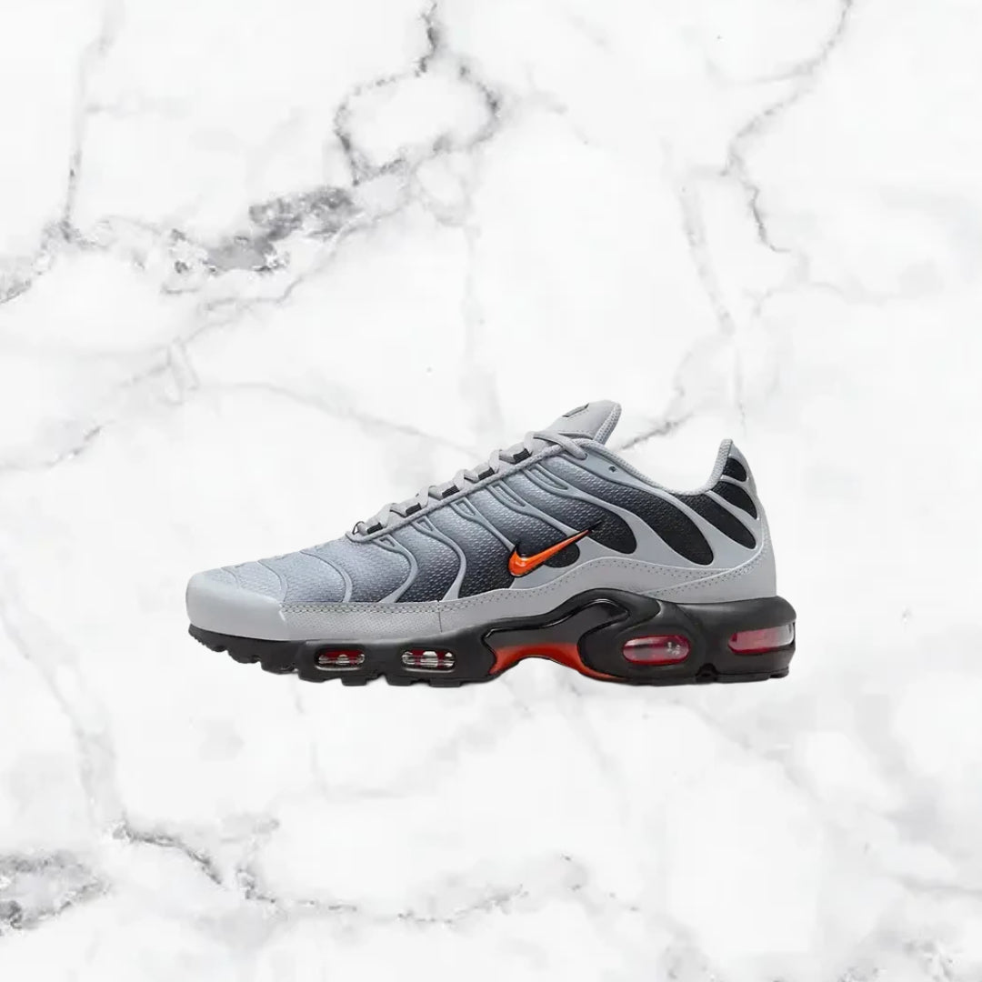 Nike | TN - Gris / Blanc