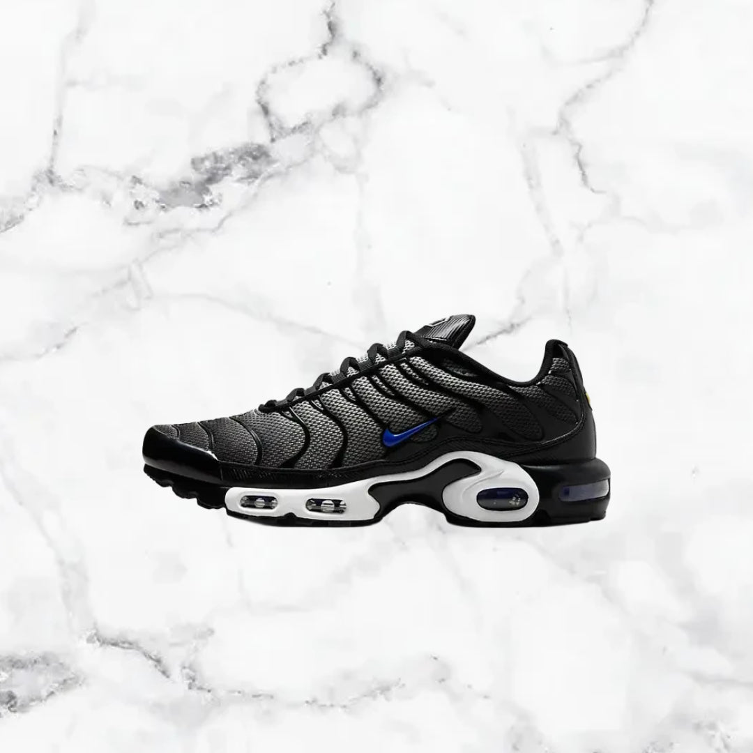 Nike | TN - Gris