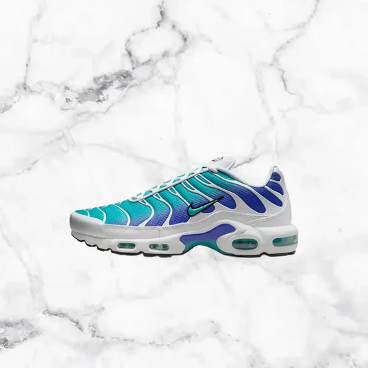 Nike | TN - Bleu / Blanc