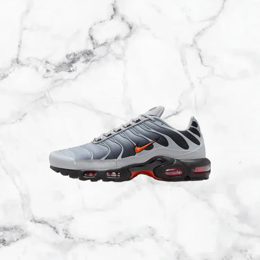 Nike | TN - Gris / Blanc