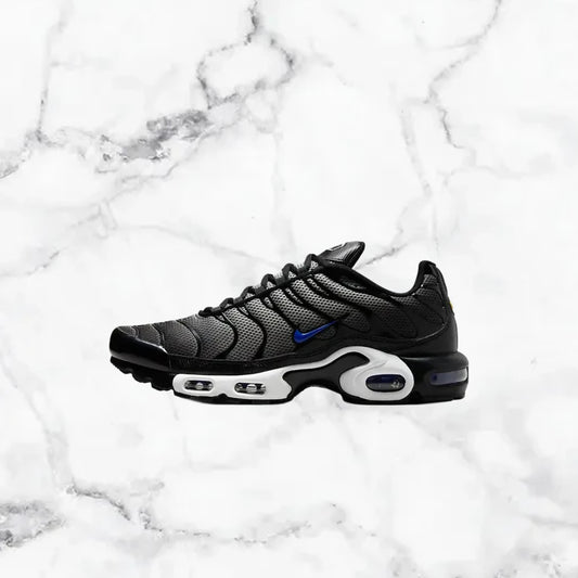 Nike | TN - Gris
